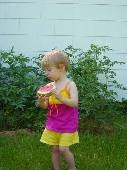 ha-06-12-watermelon-farther