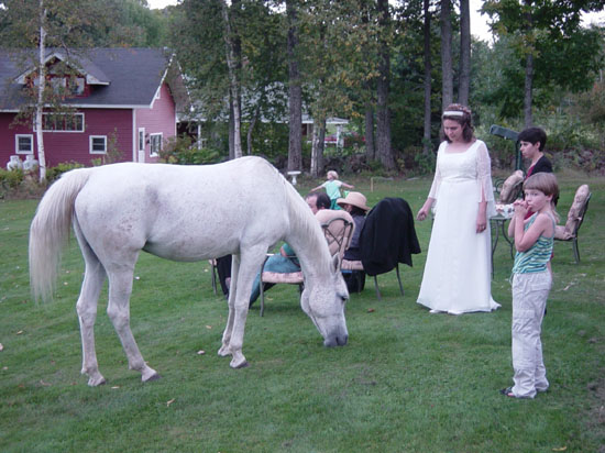 cp-09-14-wedding-white-horse-2